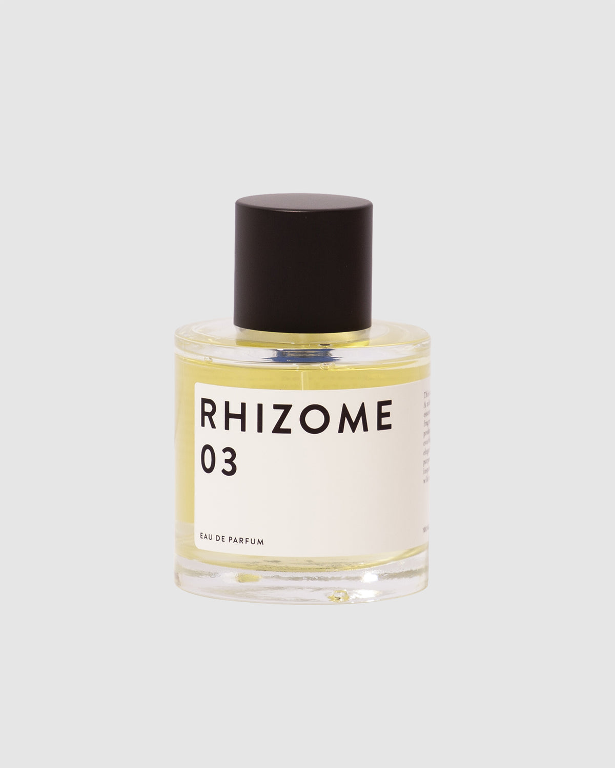 Rhizome 03