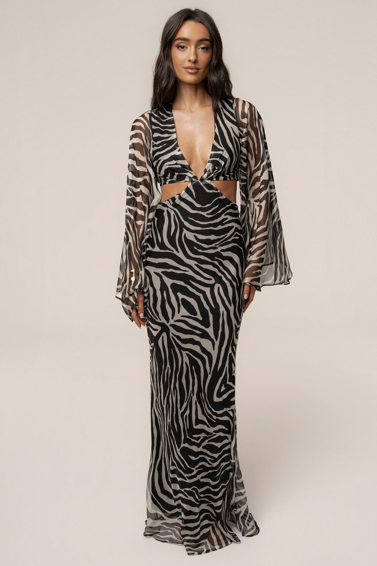Black Zebra Instincts Print Maxi Dress