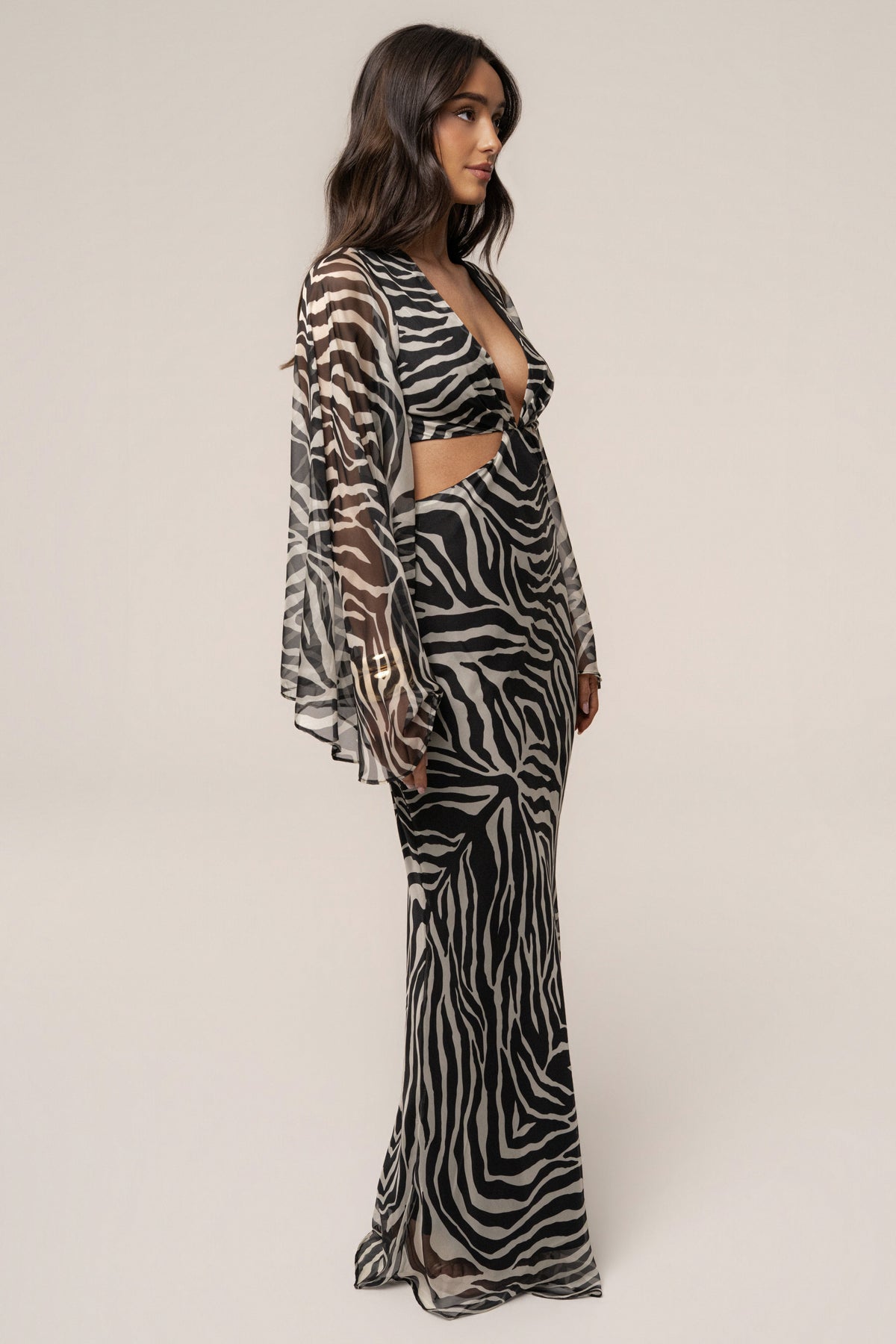 Black Zebra Instincts Print Maxi Dress