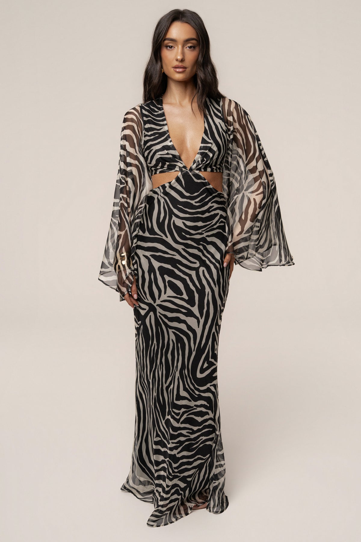 Black Zebra Instincts Print Maxi Dress