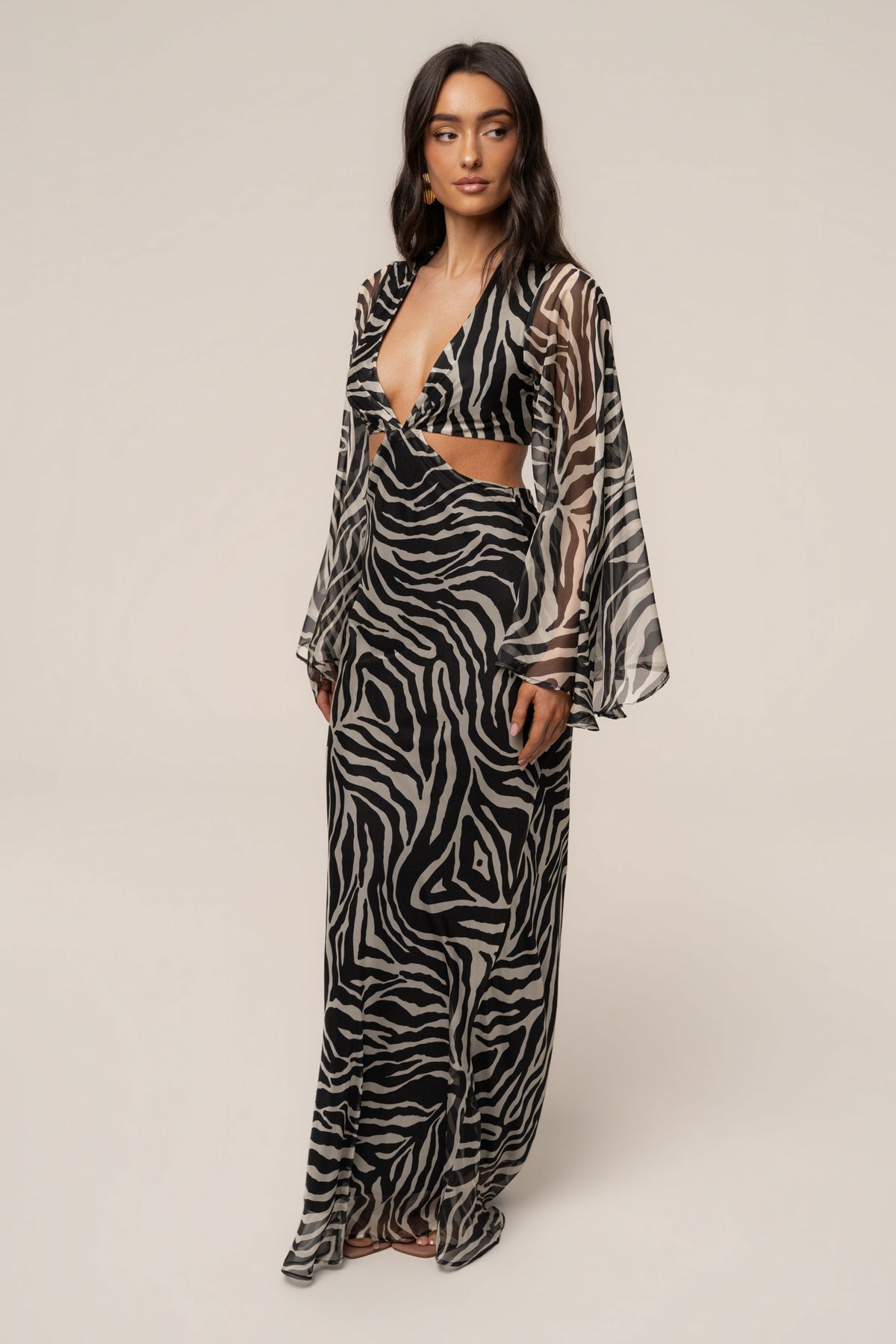 Black Zebra Instincts Print Maxi Dress